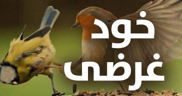 خود غرضی