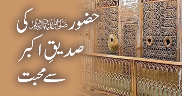 حضور ﷺ کی صدیقِ اکبر   سے محبت