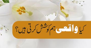 کیا واقعی ہم کوشش کرتی ہیں؟