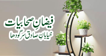فیضانِ صحابیات خیابانِ صادق سرگودھا