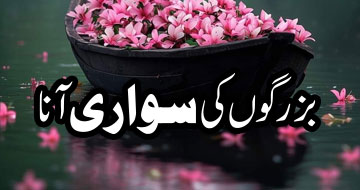 بزرگوں کی سواری  آنا