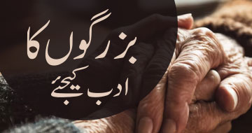 بزرگوں کا ادب کیجئے
