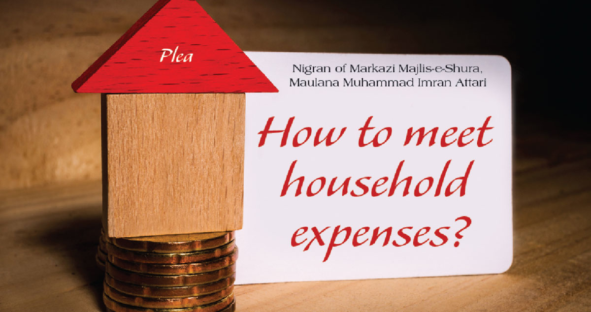 How to meet household expenses?