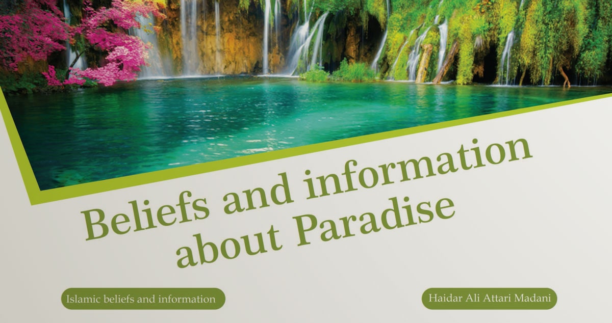 Beliefs and information about Paradise