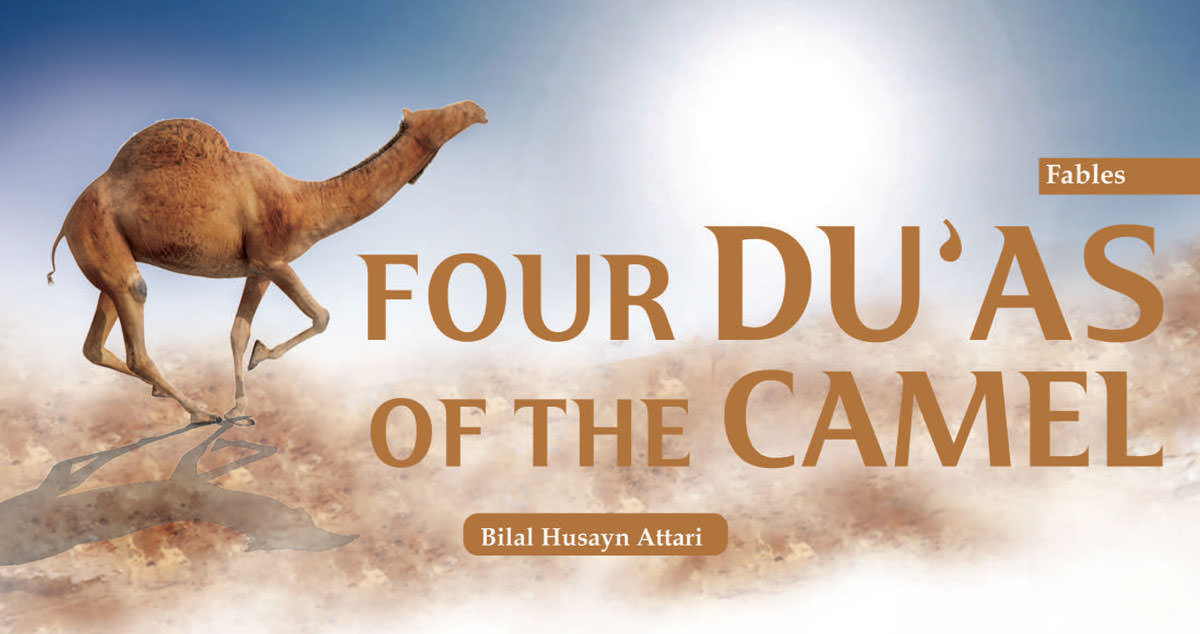 Four Du’as of the Camel