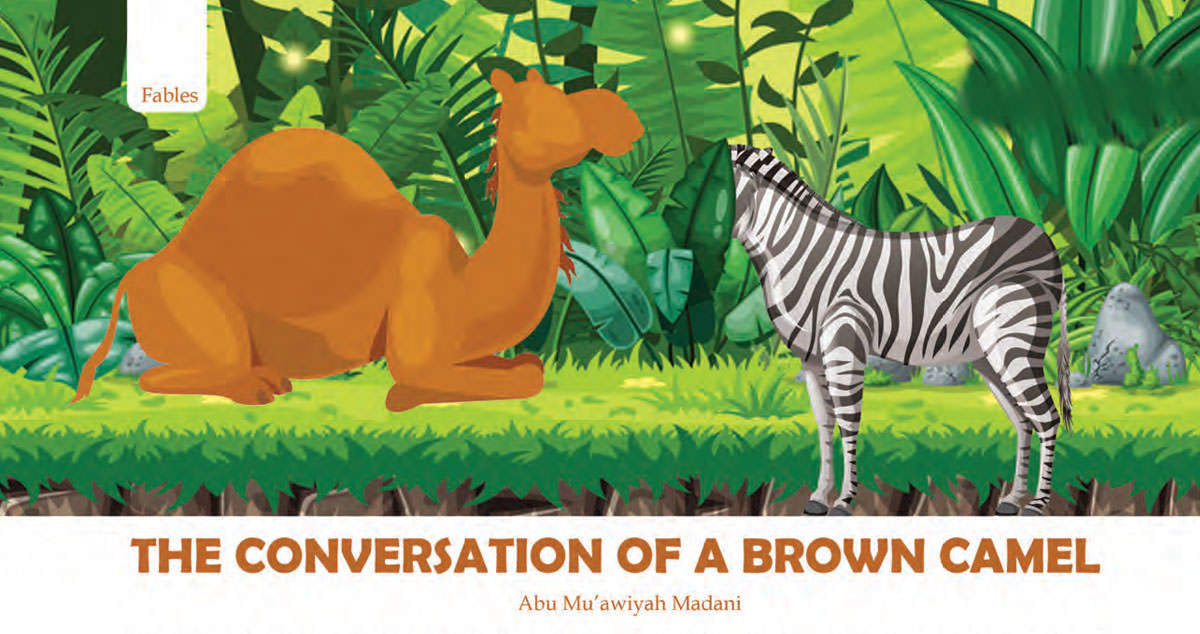 The conversation of a brown camel