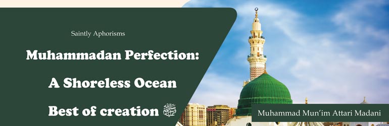 Muhammadan Perfection: A Shoreless Ocean Best of creation ﷺ