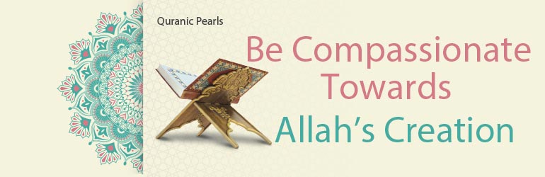 Be Compassionate Towards Allah’s Creation