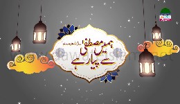 Humein Mustafa ﷺ se pyaar hai EP#36