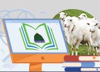Qurbani ke Ahkam Course