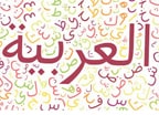 online arabic course