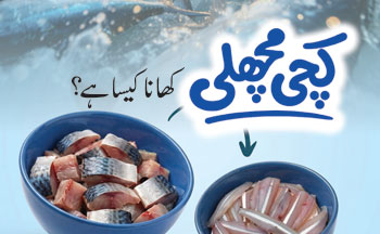 Fatwa of the Day