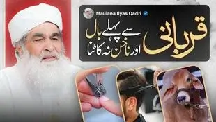 zilhaj