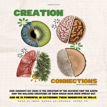 creator