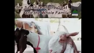 eid ul adha