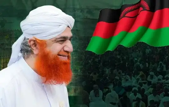 acceptance of islam by 117 non muslims