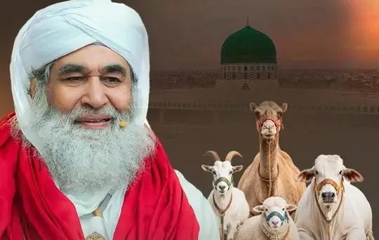 madani muzakarahs on hajj and qurbani