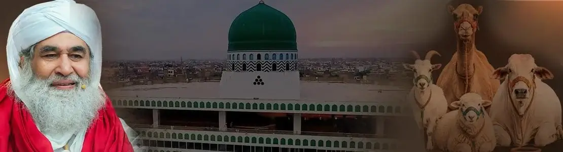 madani muzakarahs on hajj and qurbani