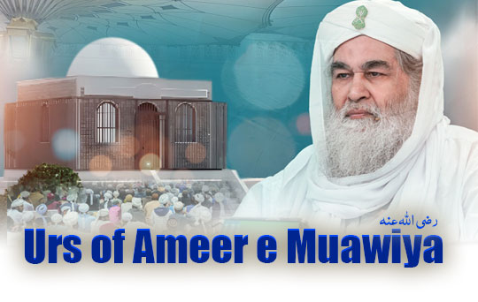 ameer e muawiya