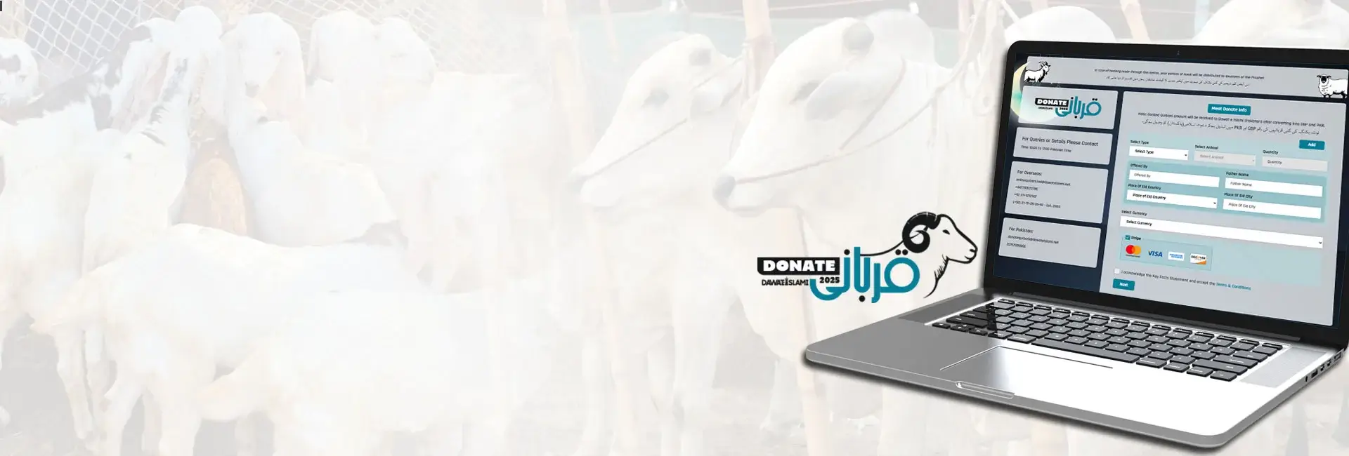 Online Qurbani With Dawateislami 2025