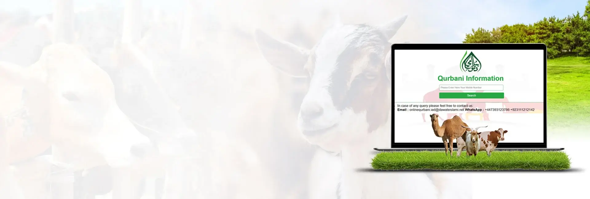 Track Your Donated Qurbani Status Online