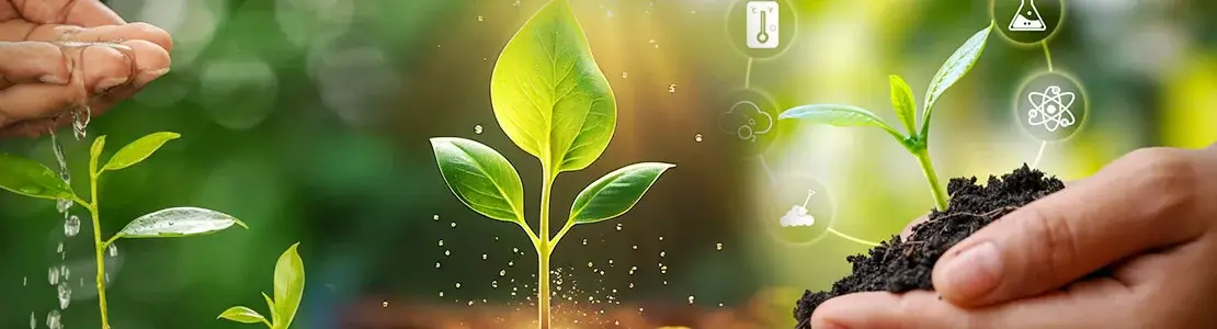 tree plantation campaign fgrf