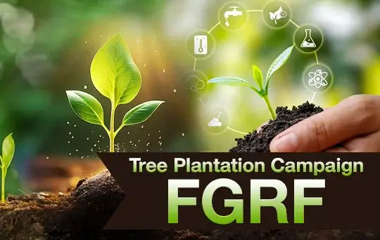 tree plantation campaign fgrf
