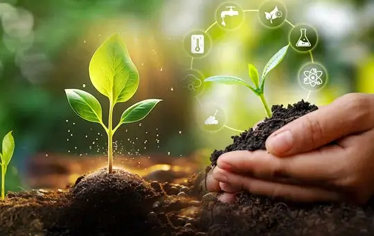tree plantation campaign fgrf