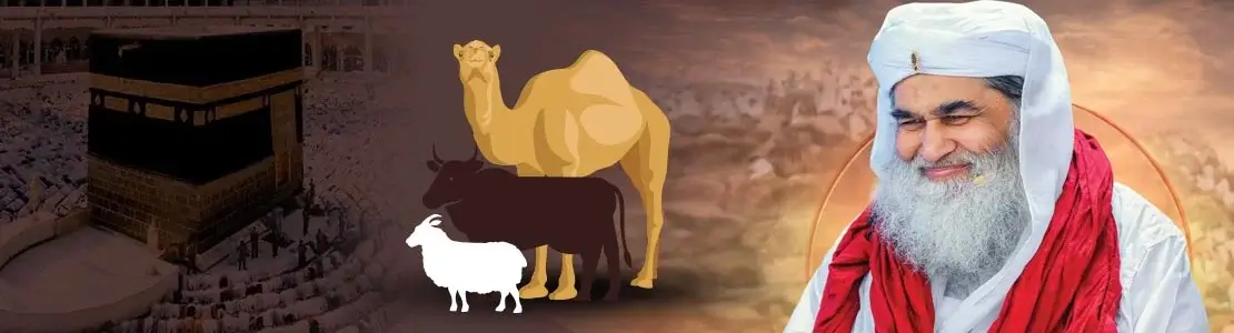 a unique session of knowledge