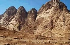 Allah Ne Hazrat Musa علیہ السلام Ko Koh e Toor Par Kyun Bulaya?