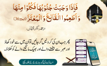 Ayat of the Day