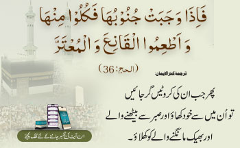 Ayat of the Day